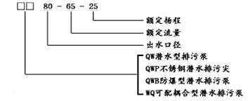 WQP型系列不銹鋼潛水泵01.jpg